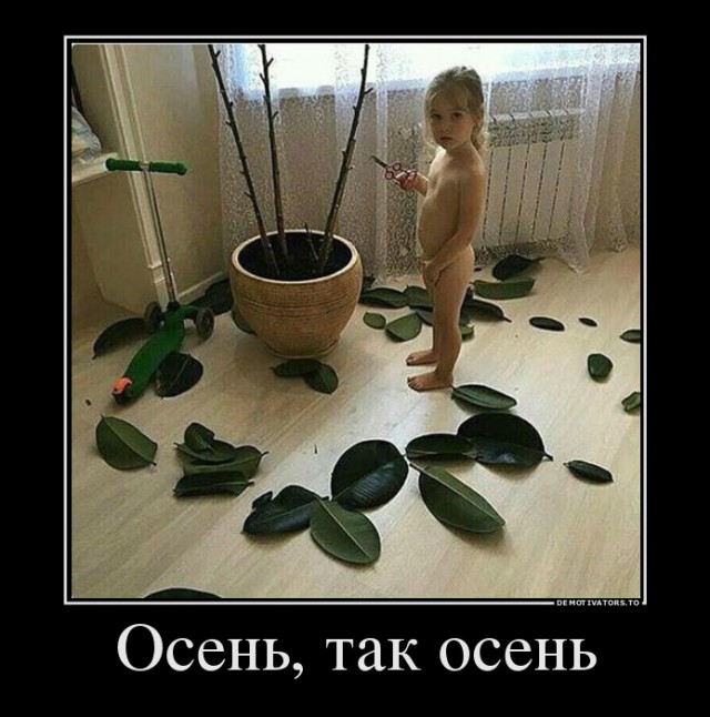 Демотиваторы на пятницу