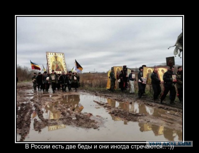 Против Главы Минобрнауки развернута массовая компания по дискредитации