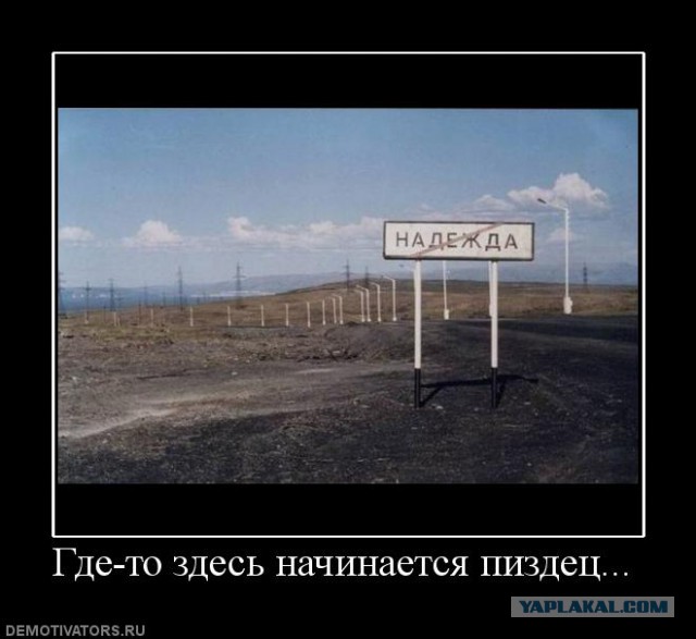Налог на грибы и рыбалку