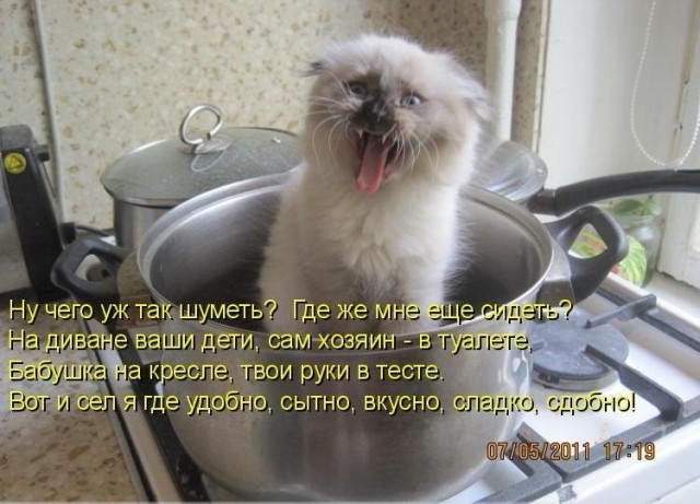 Картинки и гифки, всё стандартно