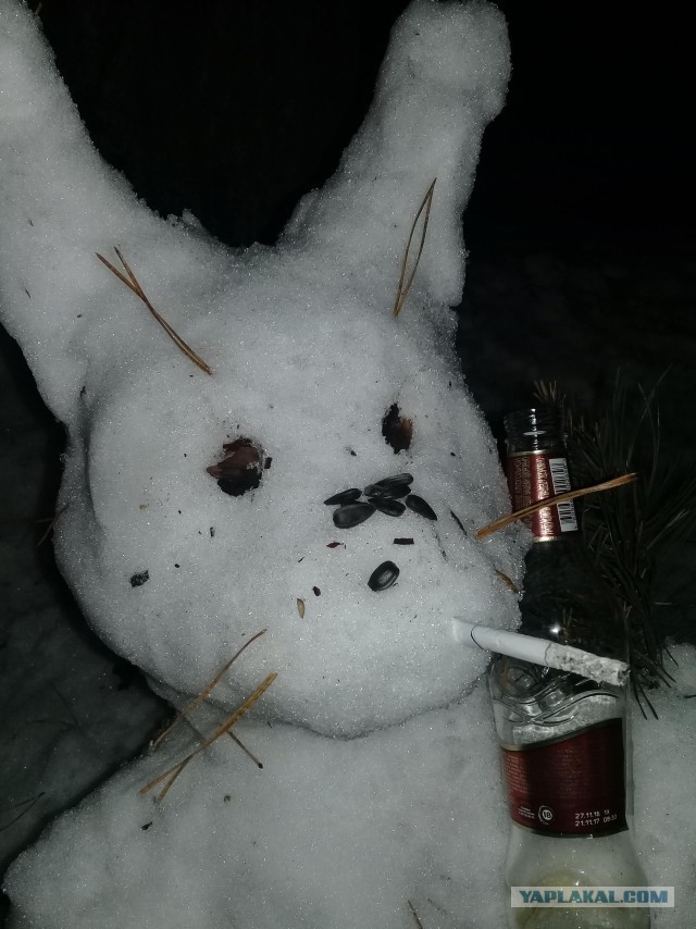 Странные кадры