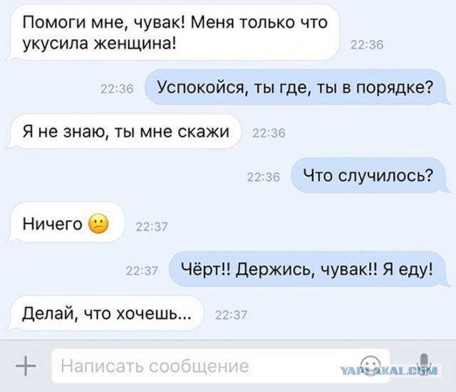 О женщинах в картинках – уголок мужского шовиниста (30+)