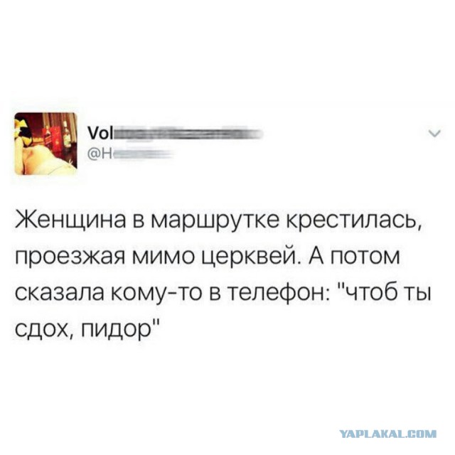 Подборка перлов и высказываний