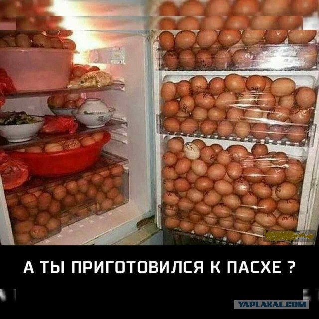 Тупеж и деградация