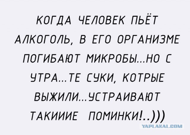 Смешные и не очень жипэги..
