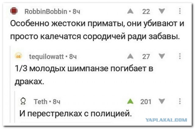 Смешные комментарии из социальных сетей 15.09.2017