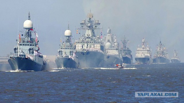 Российский спортсмен пообещал сделать из главы Росгвардии «кильку в томате»