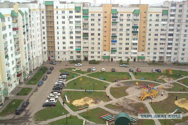 У форели кормёжка!