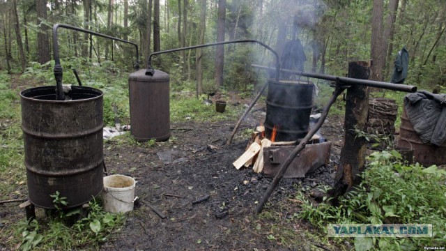Праздник на пороге, праздник к нам приходит