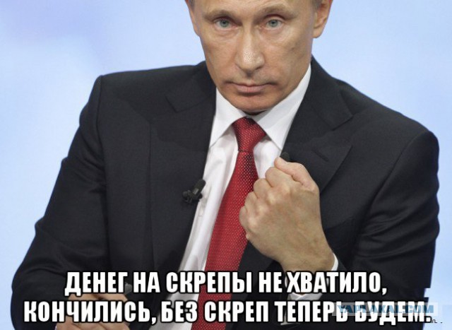 У кого самая дорогая елка на Рублевке?
