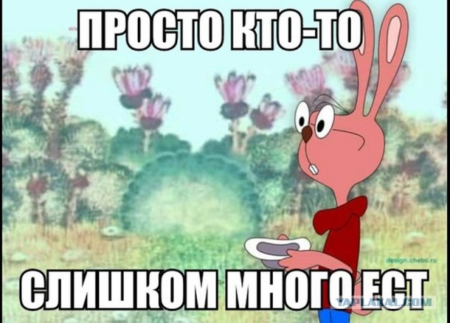 В Самарском гарнизоне недосчитались 11 тысяч комплектов питания для солдат