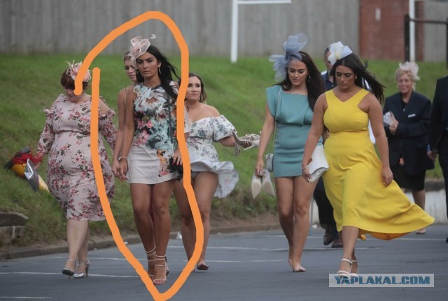 Ladies Day 2019