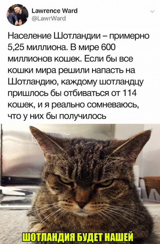 Пара-пара-пам! Фьють. Картинки с надписями