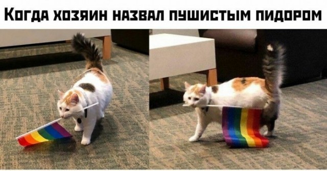«Картинки разные нужны, картинки разные важны»