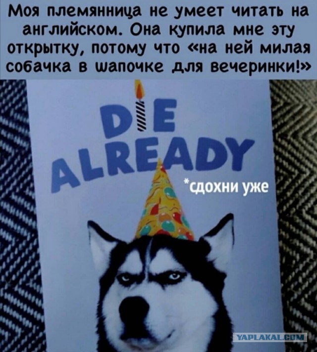 Юмор в картинках 25.10.20