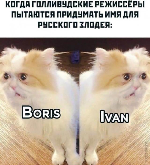 Немного картинок для настроения 06.11.20
