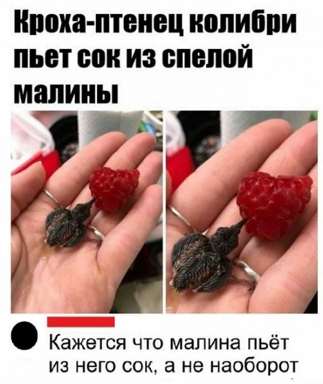 Картинки с надписями и всякие жизненные фразы 7.01.2021