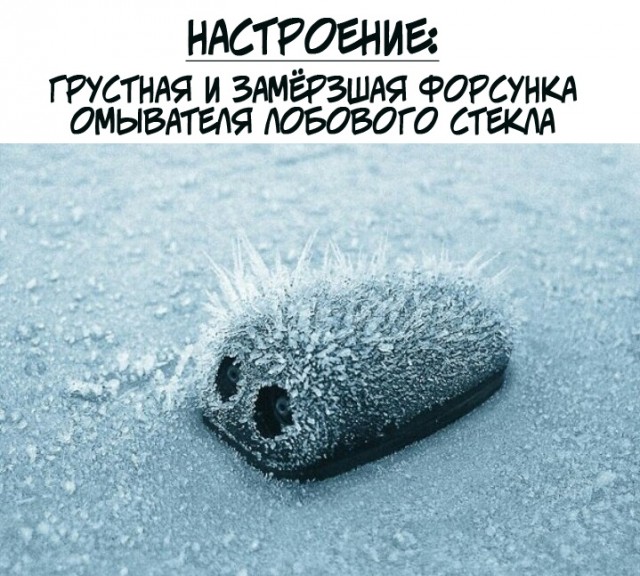 Картинки всякие 13.02.21