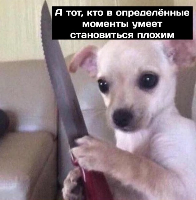 Еще внукам послужит: лучшие и прочнейшие ножевые стали