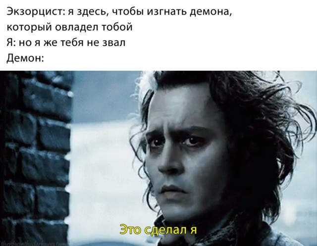 Весёлый полтишок 24.03