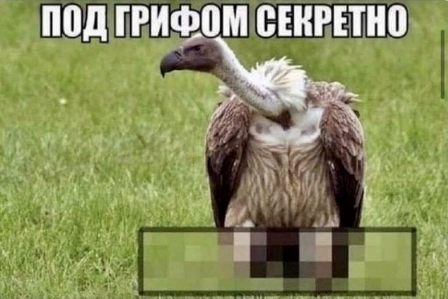Юмор и прикольные картинки