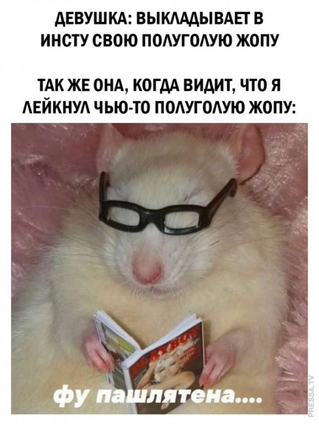 Картинки и мемы для настроения 016