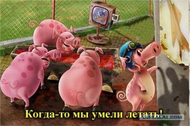 Илон Маск: добровольцы первого полета на Марс могут столкнуться с перебоями в питании. И «Куча людей, вероятно, умрёт вначале»