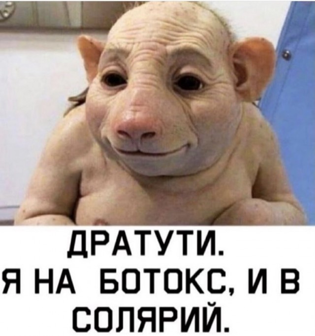 Весёлый полтишок 12.06