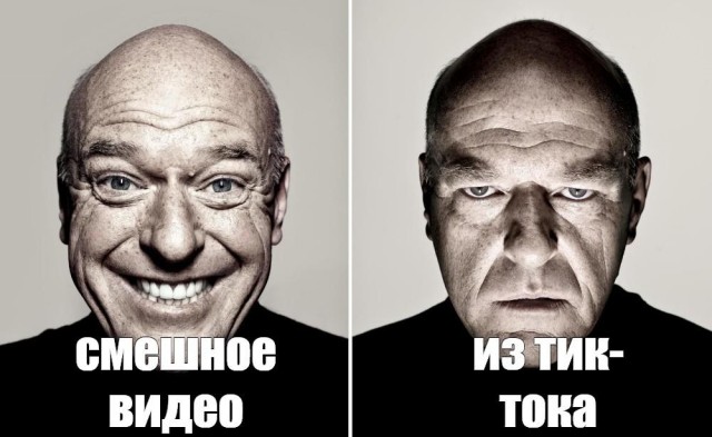 Кот