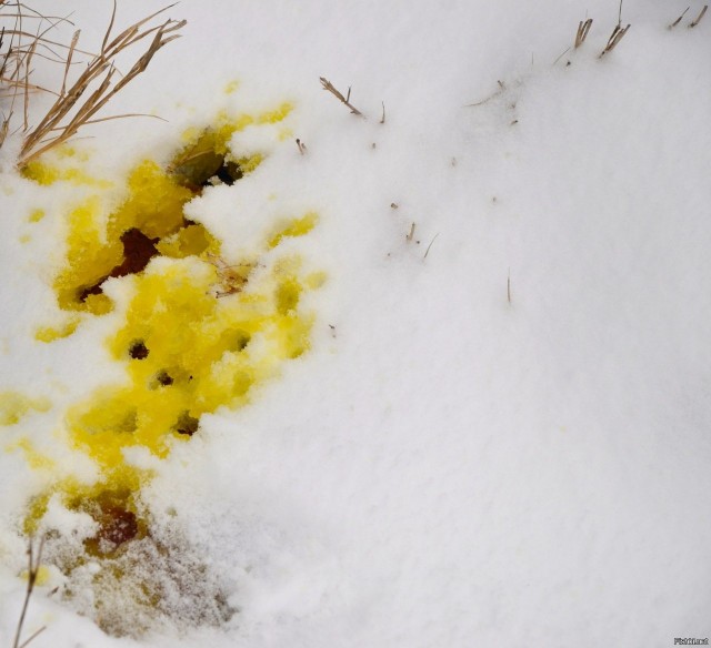 Кто что нарисовал за последние время