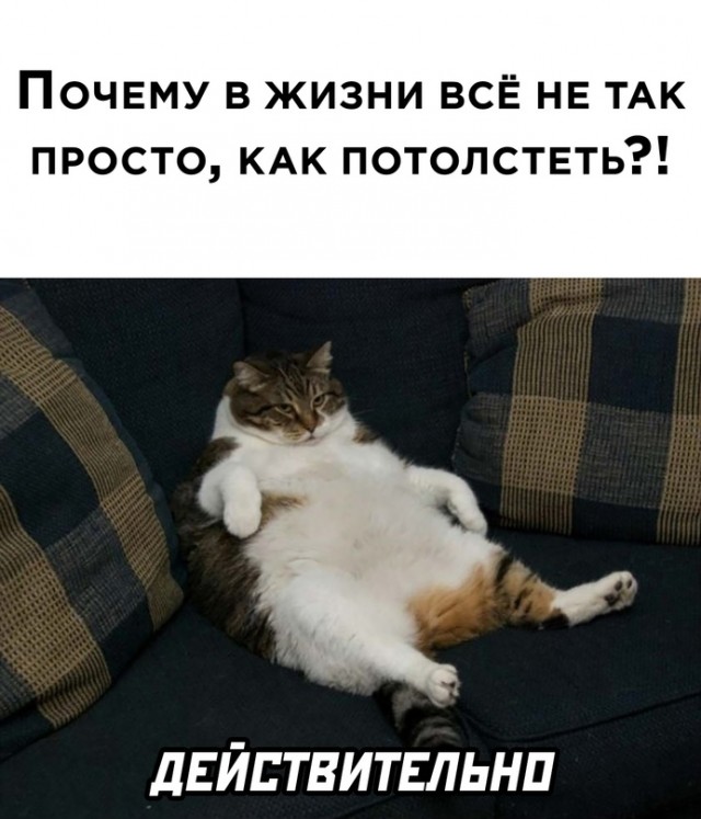 Весёлый полтишок 25.10