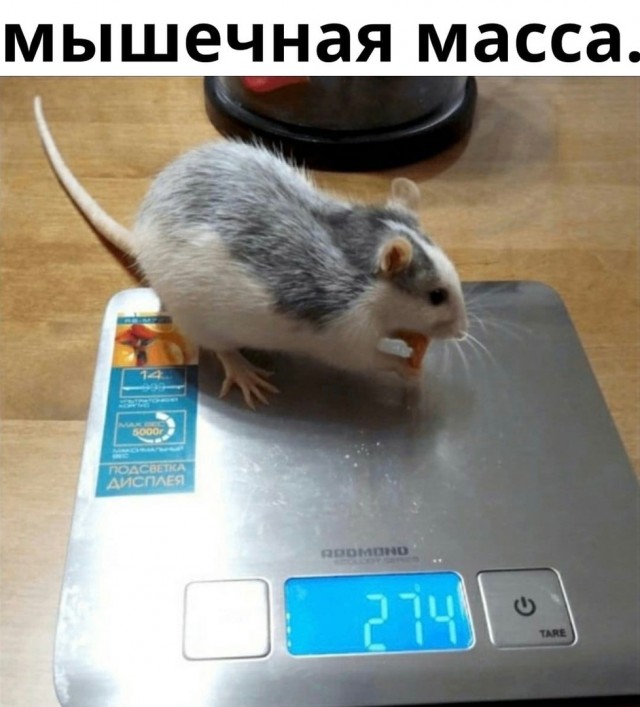 Так себе картинки 05.12.21