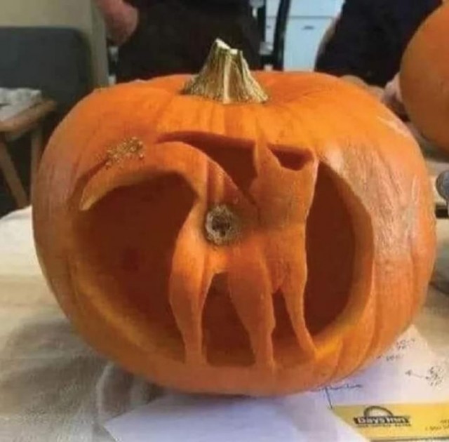 Картинки и мемы