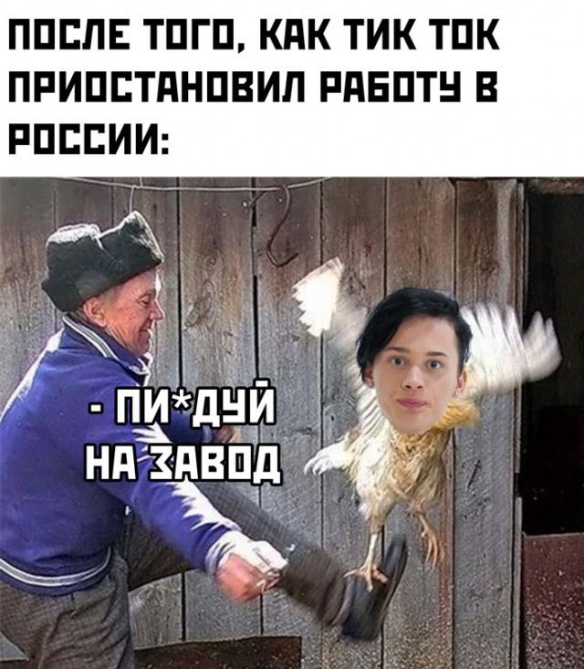 Весёлый полтишок 13.03.22
