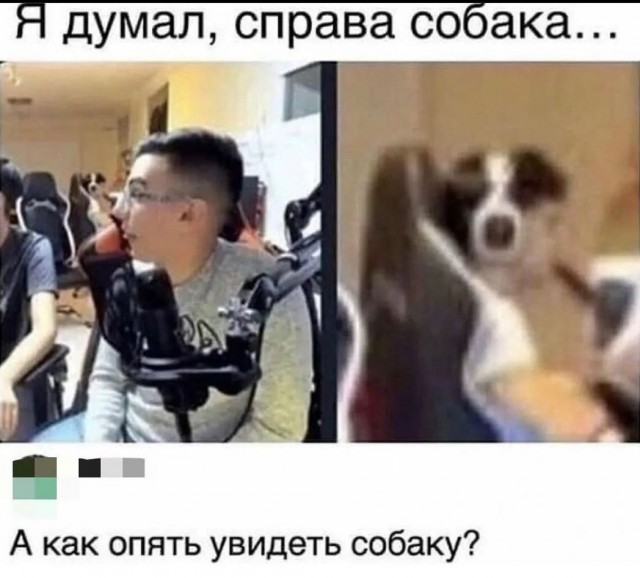 50 оттенков серого. Vol.7 Или самосвал баянов.  50 штук.