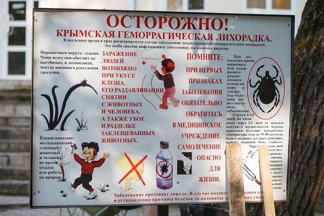 Валера и Эльвира (различия)