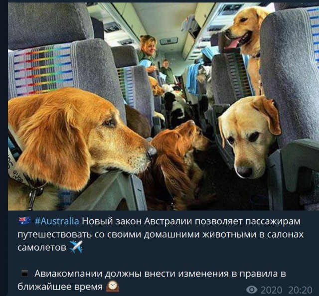 Пандемия. Коронавирус и съехавшие крыши. Россия и мир. Часть 33.