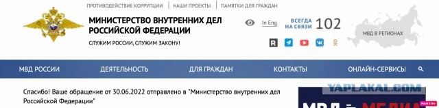 Наговорила на статью?