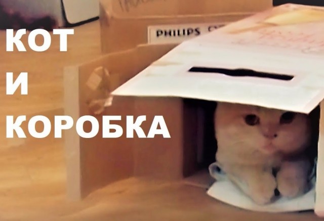 Картинки и мемы для настроения - 15