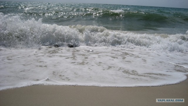 Такой разный остров Самуи