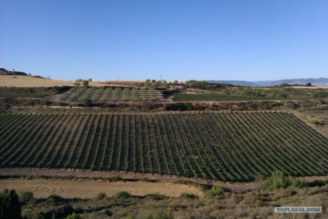 500 км. по Испании пешком