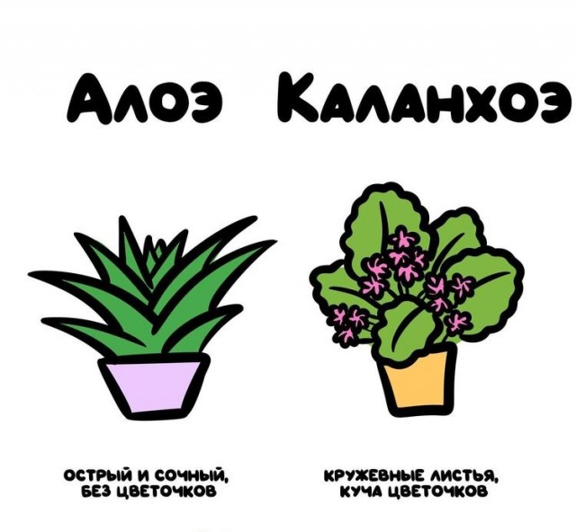 15 полезных рисунков, наглядно показывающих разницу вещей, которые мы то и дело путаем