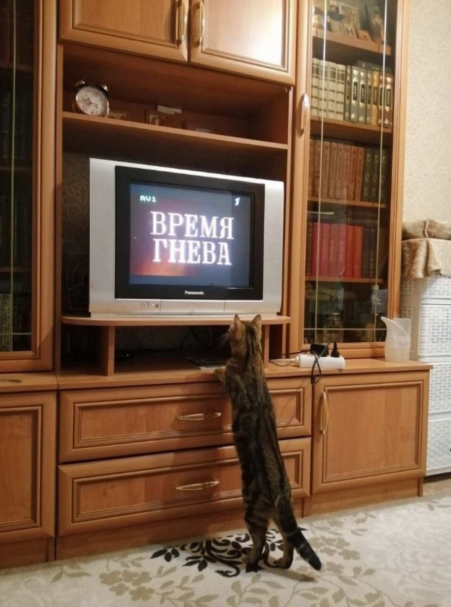 Прикольные и просто красивые картинки 06.12.2022