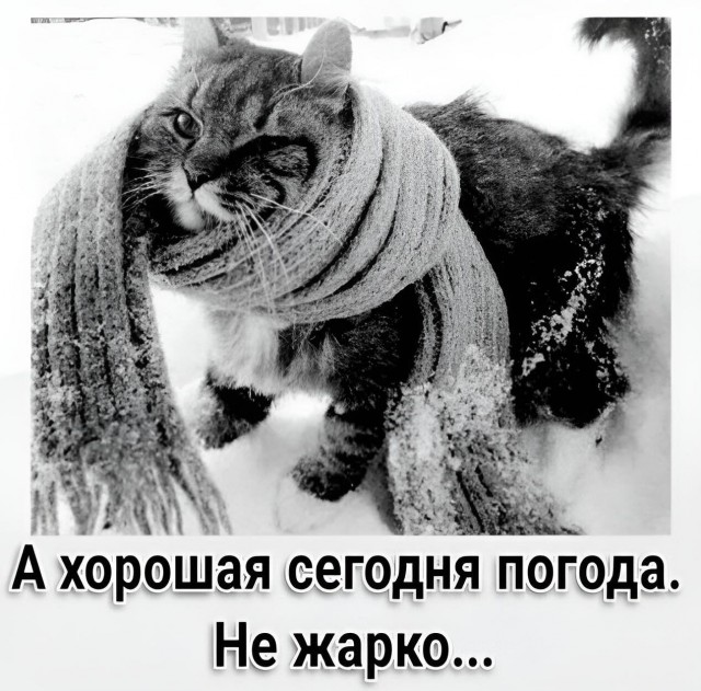 Немного картинок для настроения - 131