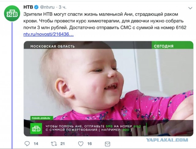 Путин подписал закон об уголовной ответственности за осквернение георгиевской ленты