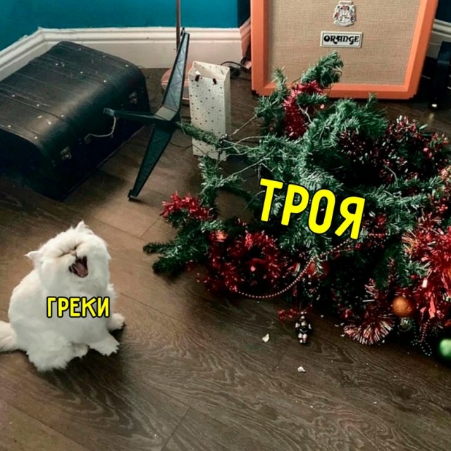 Весёлый полтишок 09.01.23