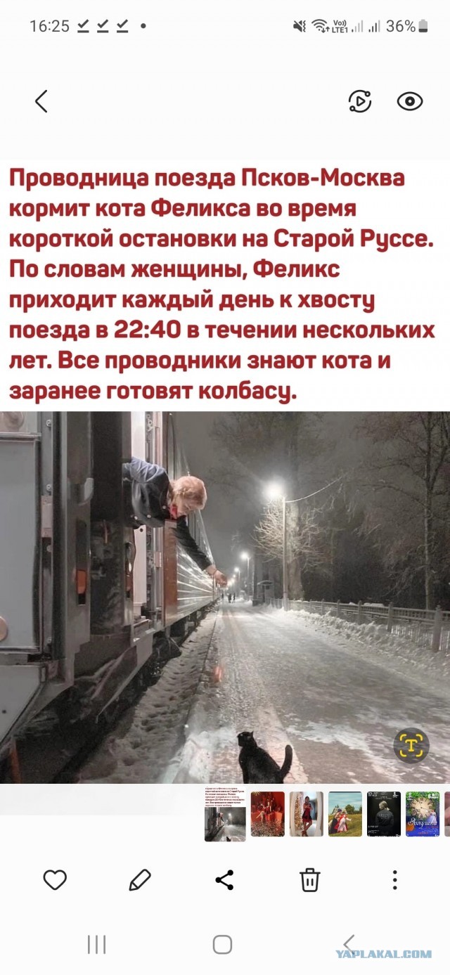 Меркантильные женщины
