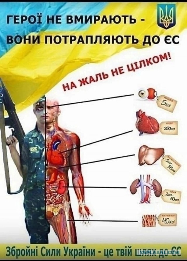 Из немецких новостей. Эти танки спасают жизни