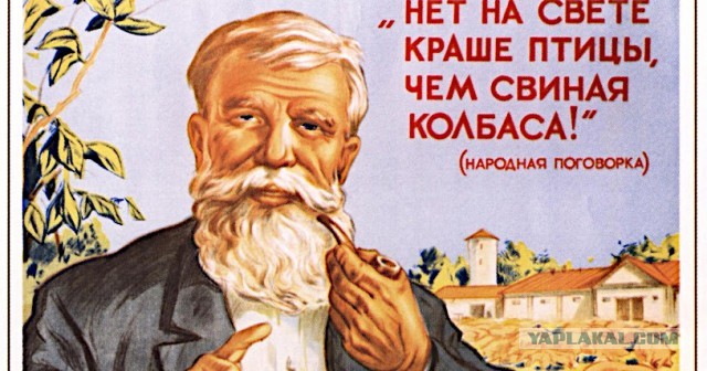 Рыба и морепродукты в России могут подорожать на 15–20% из-за ограничений на импорт