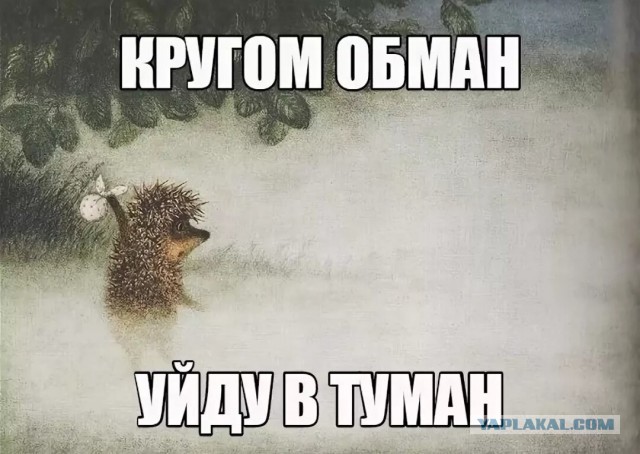 Ступеньки для ёжика